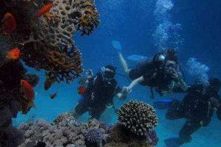 Red Sea Diving Trip: Discover the Beauty of the Depths