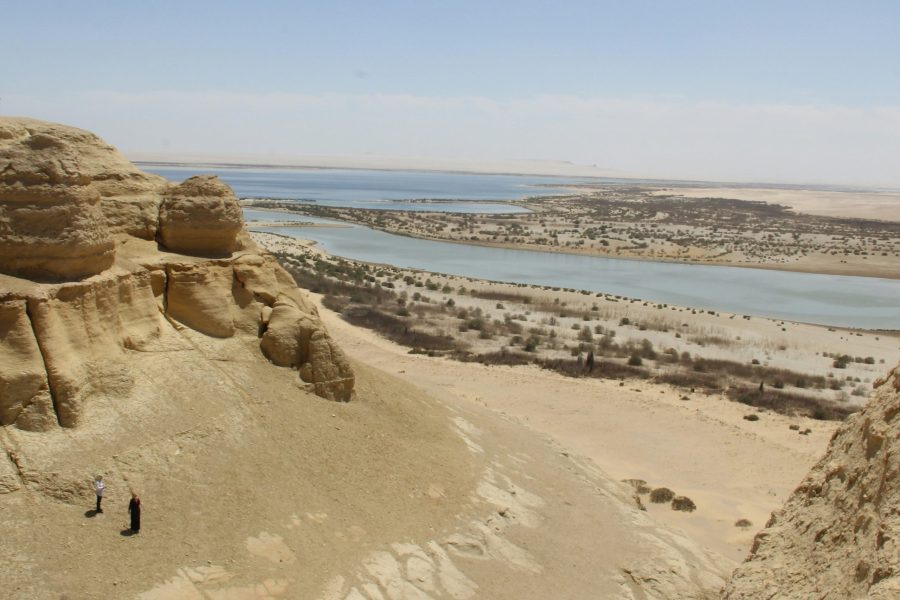 2 Days Egypt Adventure from Cairo to Fayoum Oasis