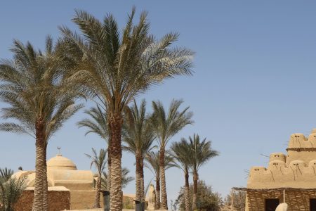 2 Days Egypt Adventure from Cairo to Fayoum Oasis