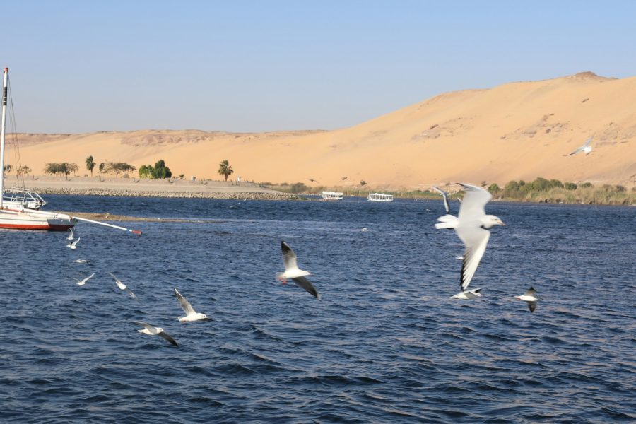 Sail Egypt: 4-Night Nile Cruise Luxor to Aswan